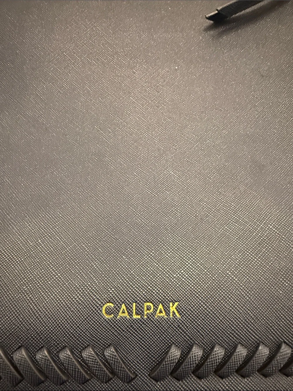 Calpak sleek backpack